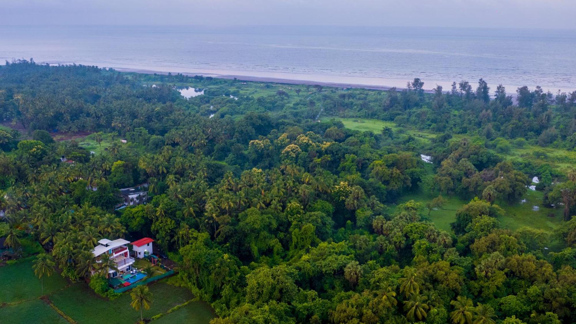 Spicy Mango Villa Elegano - Luxurious Villa Near Nagaon Beach, Alibag 외부 사진
